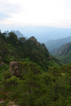 黄山