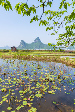 山水田园