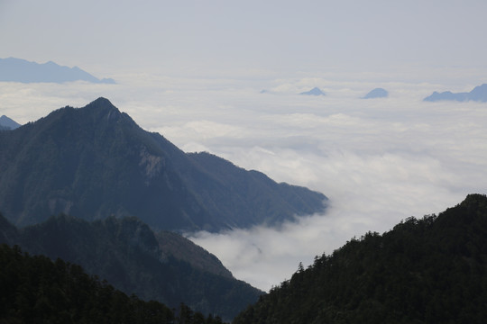 神农架风光