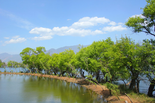 鹤庆黄龙潭