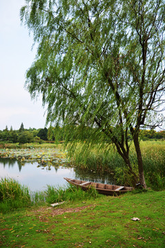 福田湿水公园