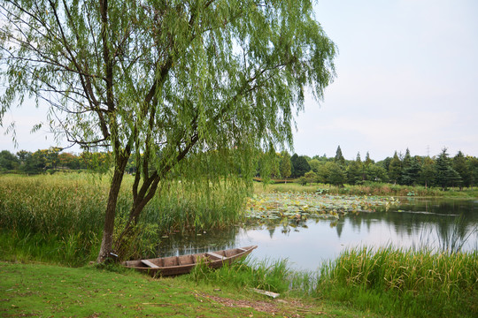 湿地公园小船