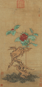 陸治枯木山茶