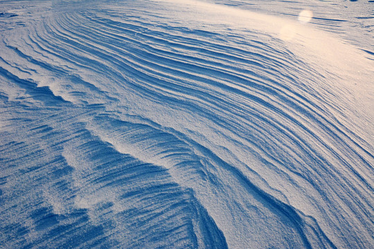 雪地