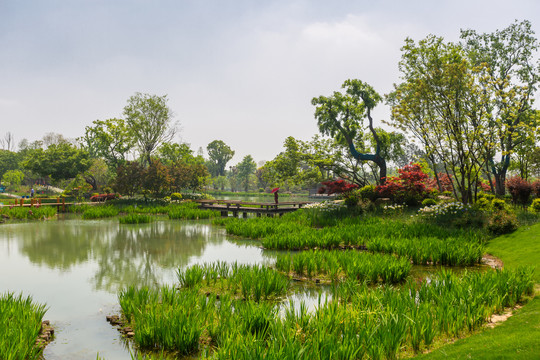 三叶梦华苑美景