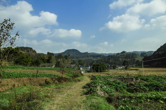 山村田野