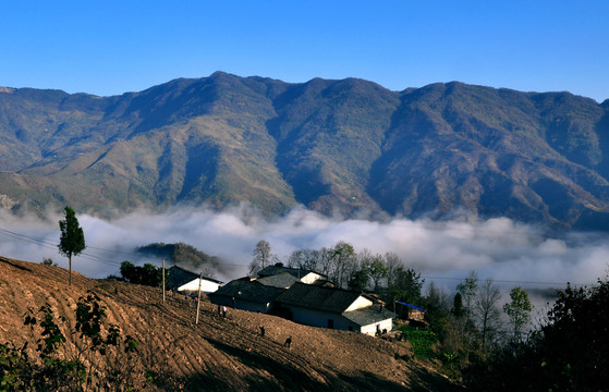 云山寒家