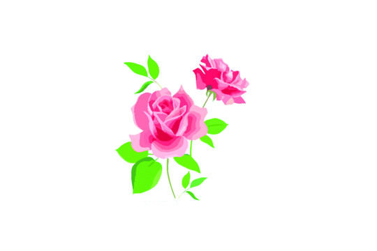 玫瑰花圖案