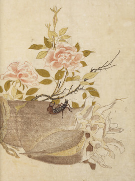 喜多川歌麿昆虫植物画