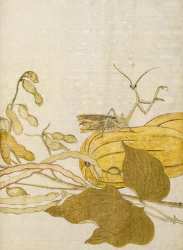 喜多川歌麿植物昆虫绘画