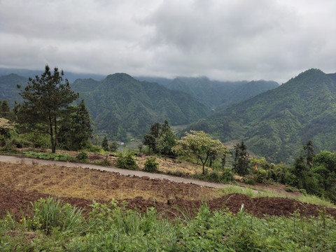 山地与远山