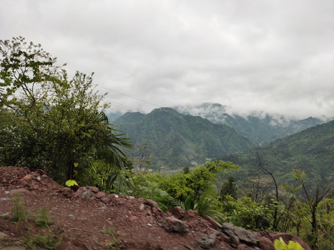 绿植与远山