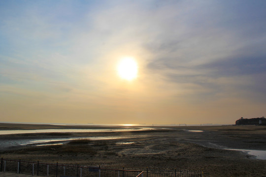 秦皇岛鸽子窝海滩湿地