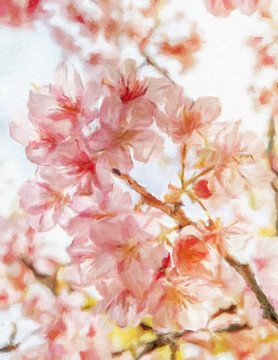 櫻花油畫