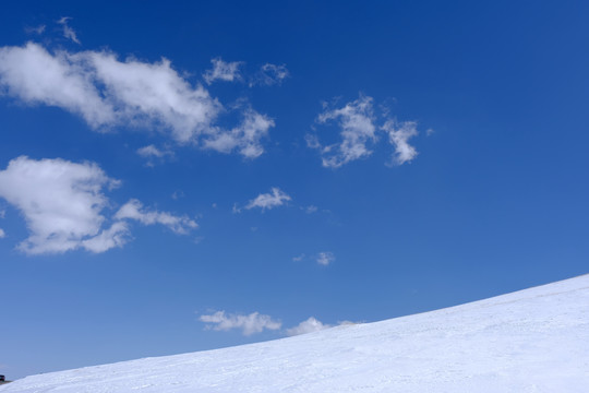 雪地白云