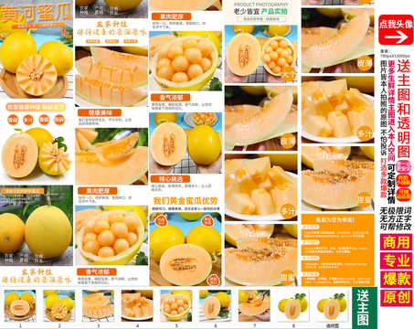 黃河蜜瓜詳情頁