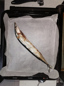 烤秋刀魚