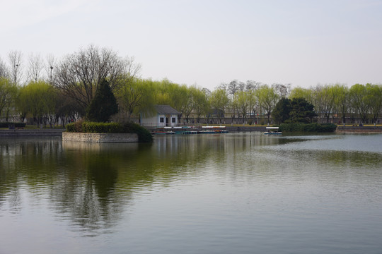 河岸