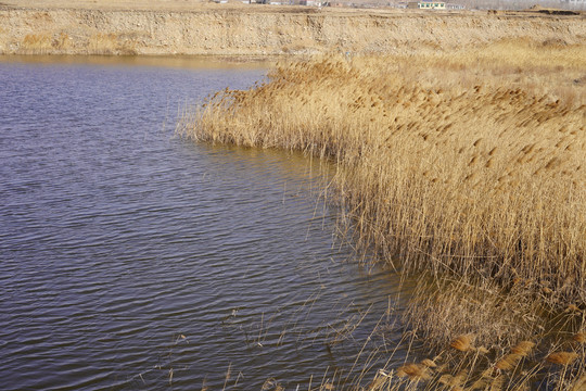 河滩