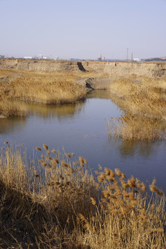 河滩