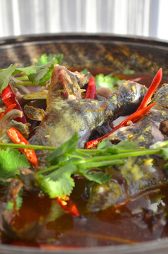 美味黃骨魚
