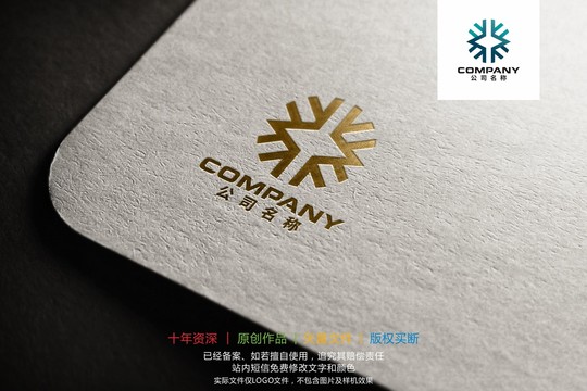 X雪花金融科技標志logo