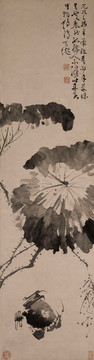 徐渭黃甲圖