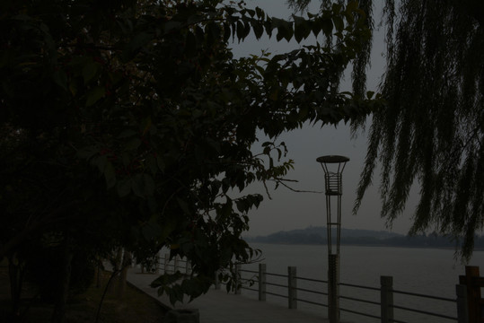 户外山水风景植物素材图