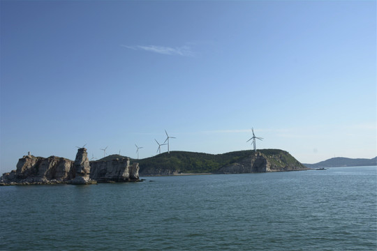 海洋海岛动物和海景