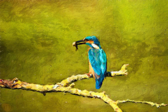 翠鳥油畫
