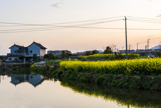 乡村田野