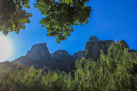 云台山茱萸峰