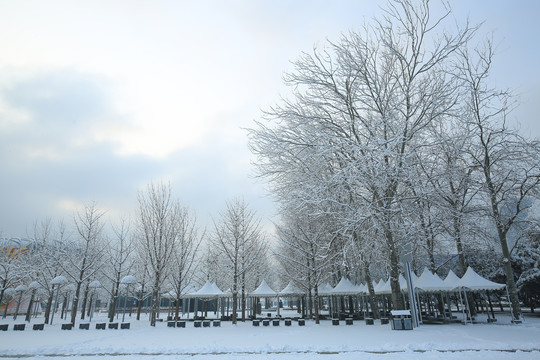 冬天雪景