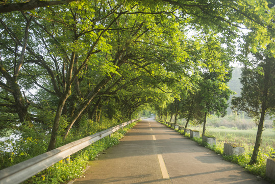 乡村公路