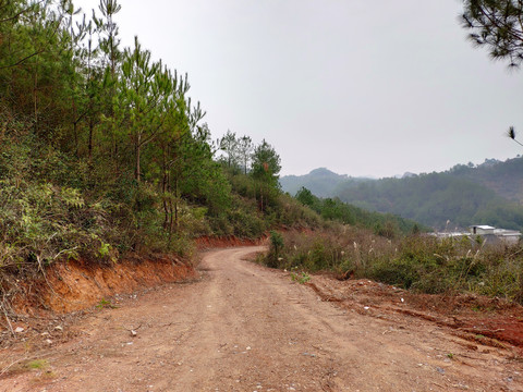 泥泞道路