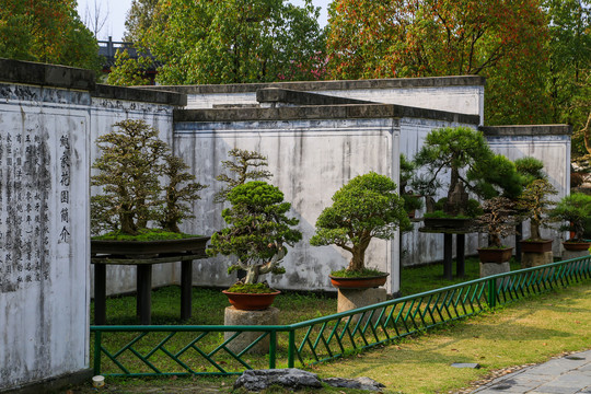 棠樾鲍家花园