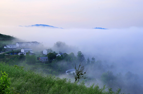 县河云雾三