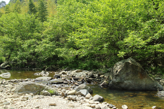 山谷小溪