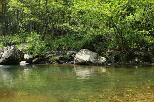 山谷小溪