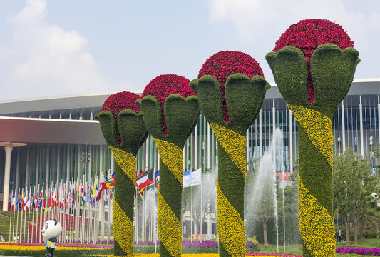 上海国家会展中心建筑和花柱