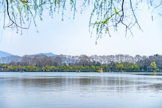 远景湖水树枝发芽蓝天