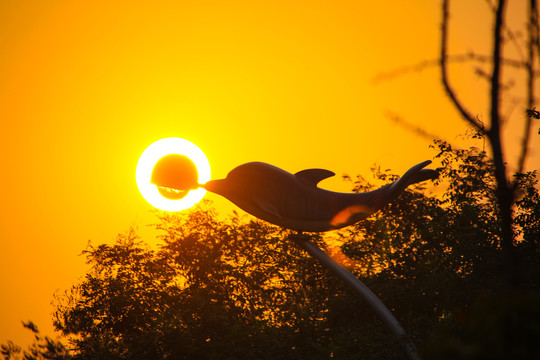 太阳