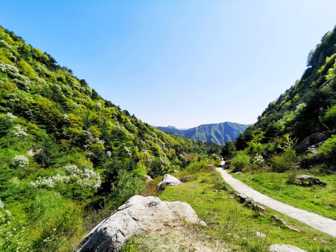 秦岭王顺山风光