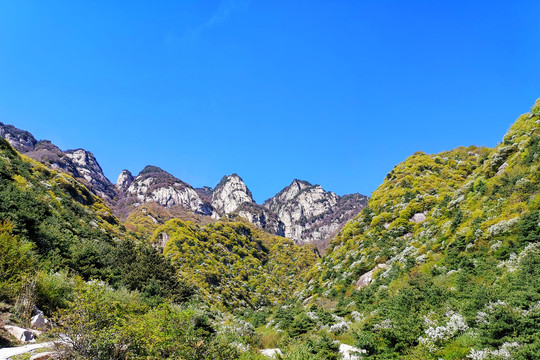 秦嶺玉山風(fēng)光