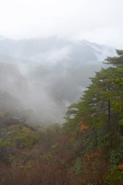 黄山