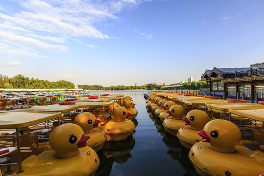 北京玉渊潭公园