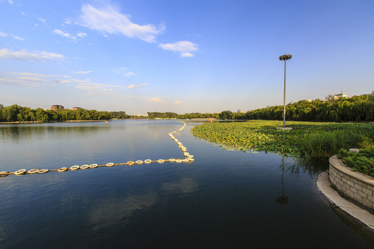 北京玉渊潭公园