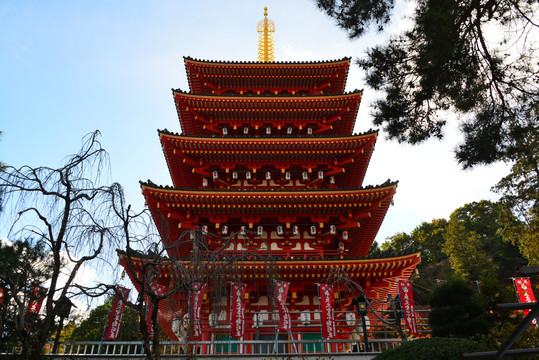 日本东京细野寺