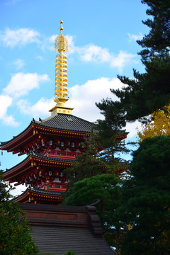 日本东京细野寺