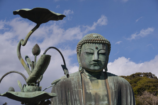 日本镰仓寺嘉德寺